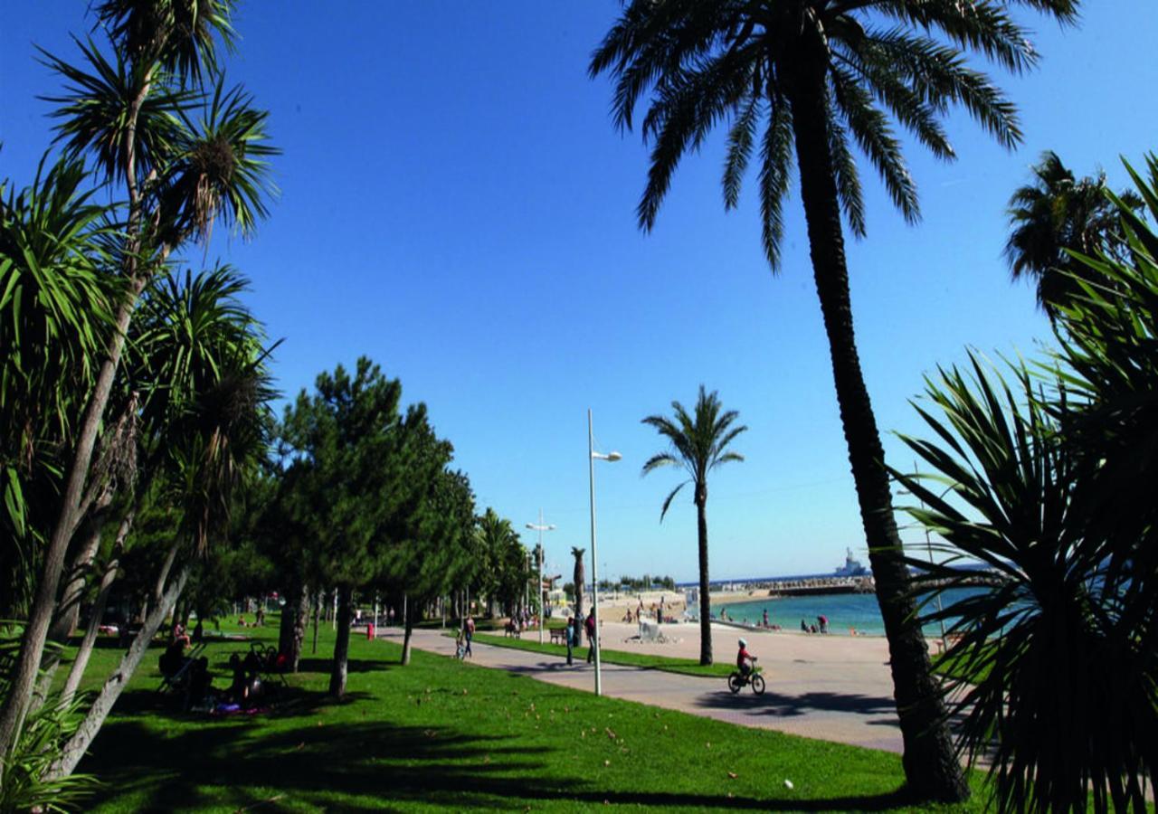Canopee - Toulon Mourillon - 800M Des Plages Et Place De Parking Prive Exteriör bild
